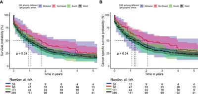 Geographic variation in malignant cardiac tumors and their outcomes: SEER database analysis